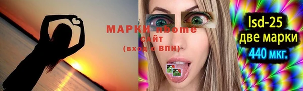 ГАЛЛЮЦИНОГЕННЫЕ ГРИБЫ Богданович