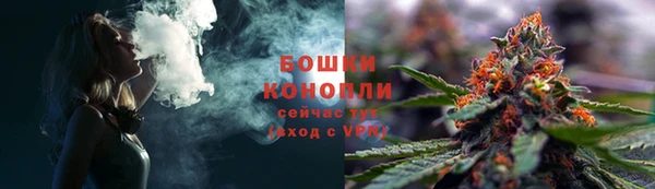 ГАЛЛЮЦИНОГЕННЫЕ ГРИБЫ Богданович