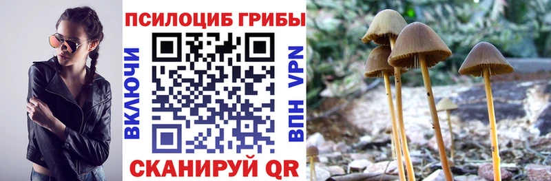 shop официальный сайт  Комсомольск-на-Амуре  Псилоцибиновые грибы GOLDEN TEACHER 